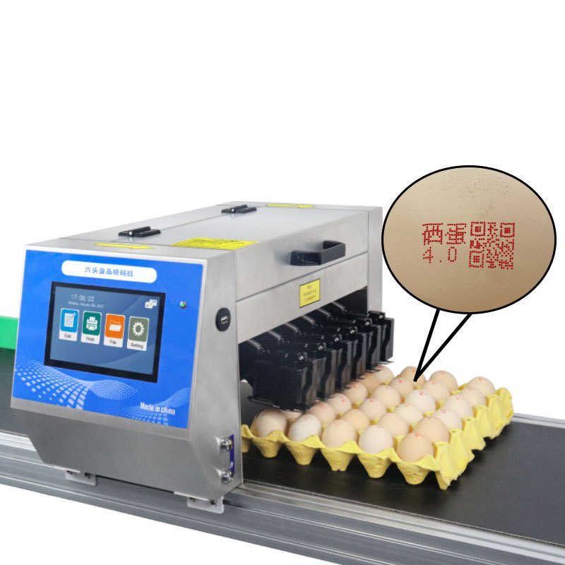 Six head egg inkjet printer