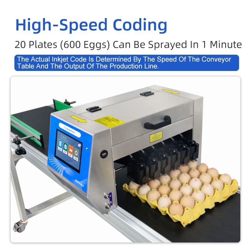 Six head egg inkjet printer