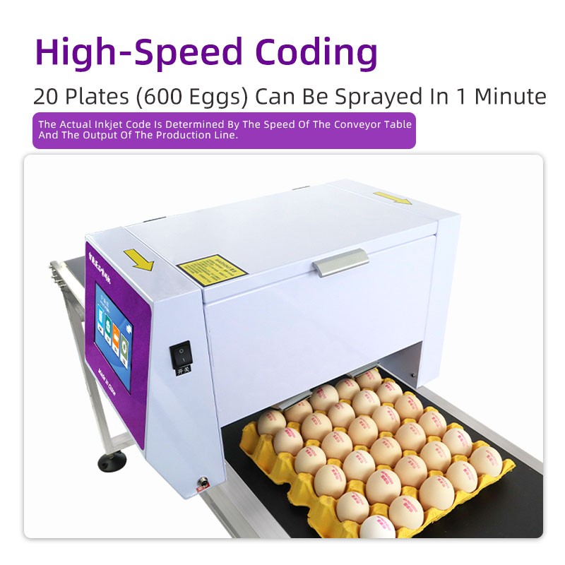 Six head egg inkjet printer