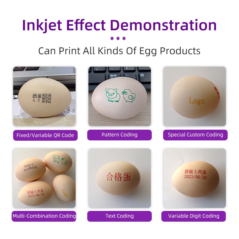 Six head egg inkjet printer