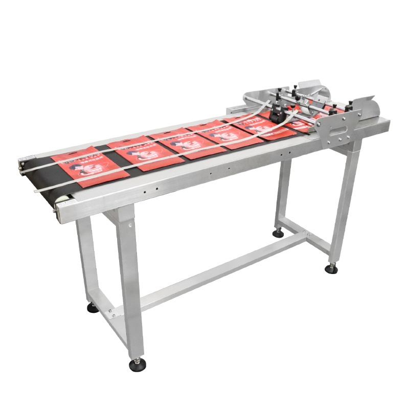 S350 Pagination conveyor