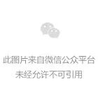 rdh2qyxuzyq13_20260728170231.jpg